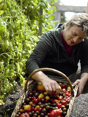 Jamie Oliver with tomatoes at his kitchen garden in Essex