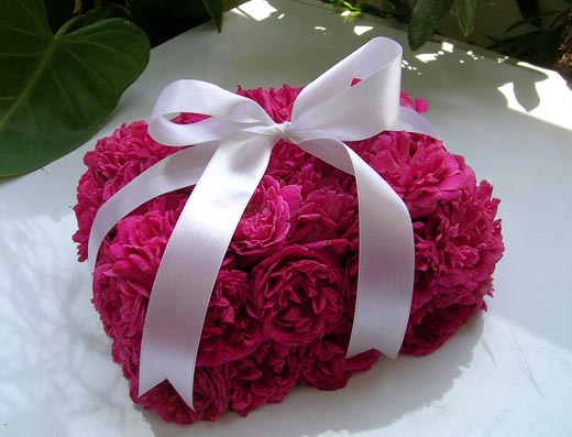 A Lovely Box of Pink Roses with Satin Bow - Wrapped in Love