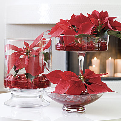 Poinsettia Foliage in Glass Bowls (Pix Credit: Gene Bussell @ Southern Living)