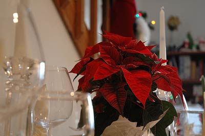 Dinner Table Centerpiece with Poinsettia Floral Arrangement and Pillar Candles (Pix Credit: Jeff Lewis)