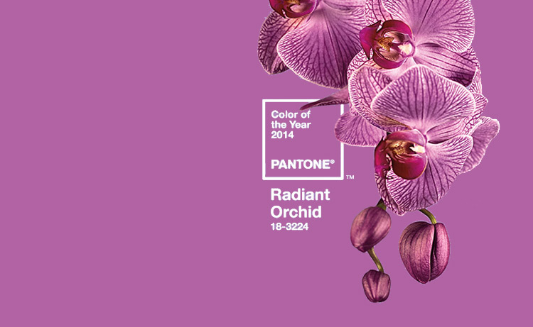 Pantone Color of the Year 2014 is Radiant Orchid – Another shade of purple