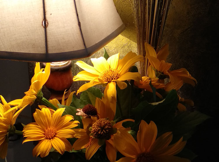 May Be Life is... Soul Poetry by Ishrath Humairah. With happy yellow flowers and long wild grasses, glowing together under the warmth of lampshade light